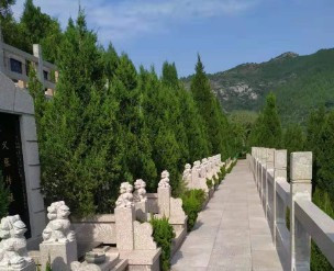 如何合理选购墓地?价格只是其次,这三点因素才是重点!
