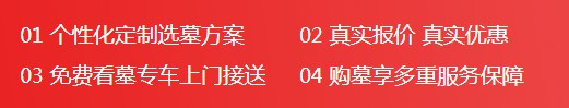 墓地排队现象的分析