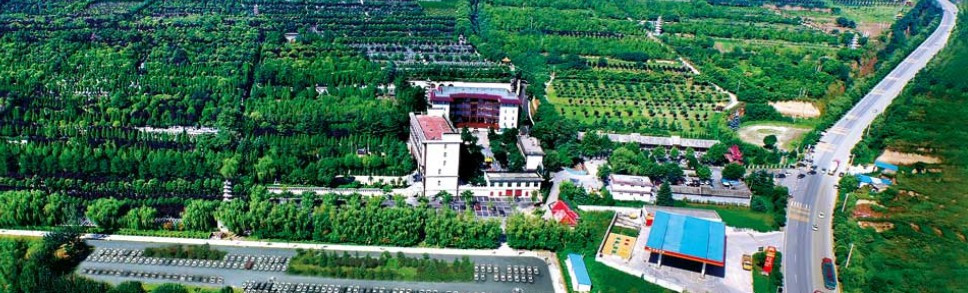 西安灞陵墓园新区墓地价格