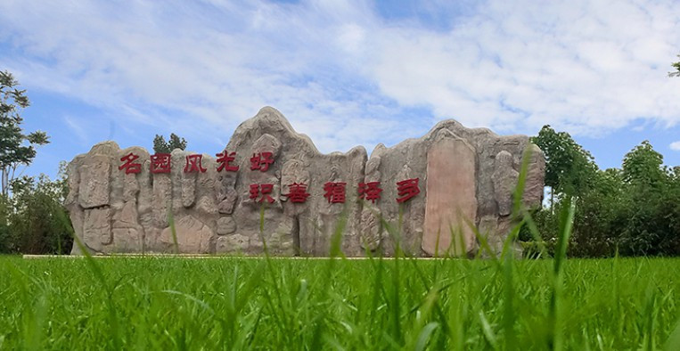 西安市长安区凤栖山墓园南区樱花苑(墓园价格)