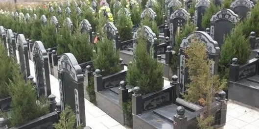 西安市奉正塬殡仪馆草坪单葬(墓园价格)